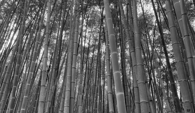 Asia’s Top Five Mid-Cap Stocks To Watch In Q4 Asia’s Top Five Mid-Cap Stocks To Watch In Q4