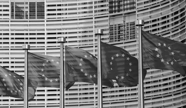 EU flags