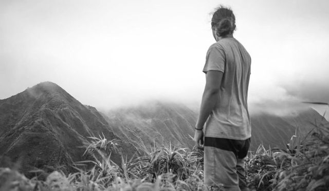 hills and plants