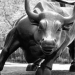 The Bulls