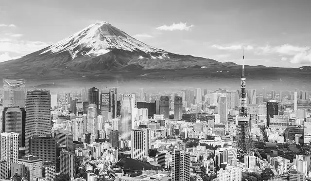 Our top five Japanese large cap stocks for Q4