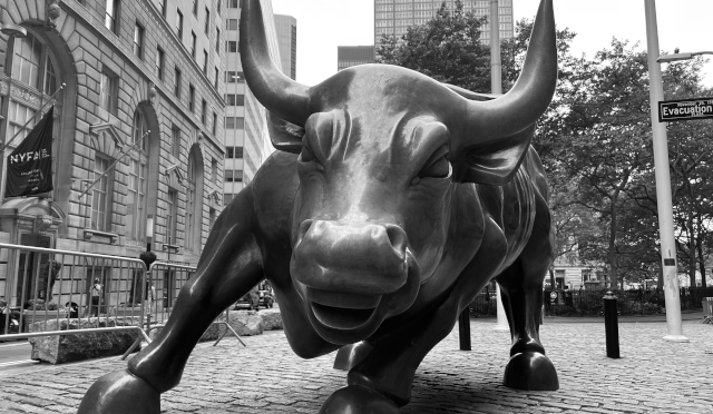 Wall Street Bull