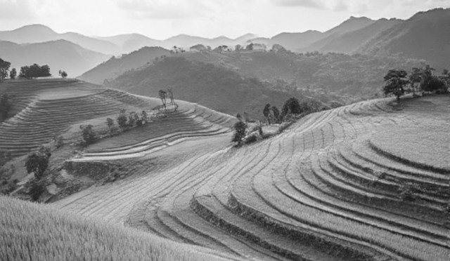 What does Vietnam’s FTSE Russell promotion mean for investors?